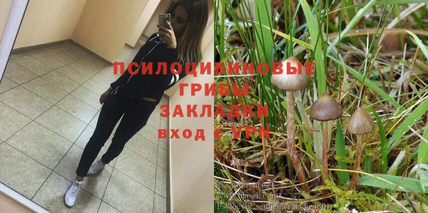 PSILOCYBIN Алексеевка