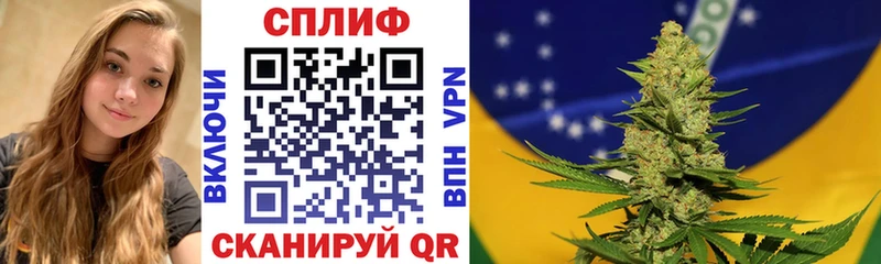 МАРИХУАНА семена  Купить  Сельцо 
